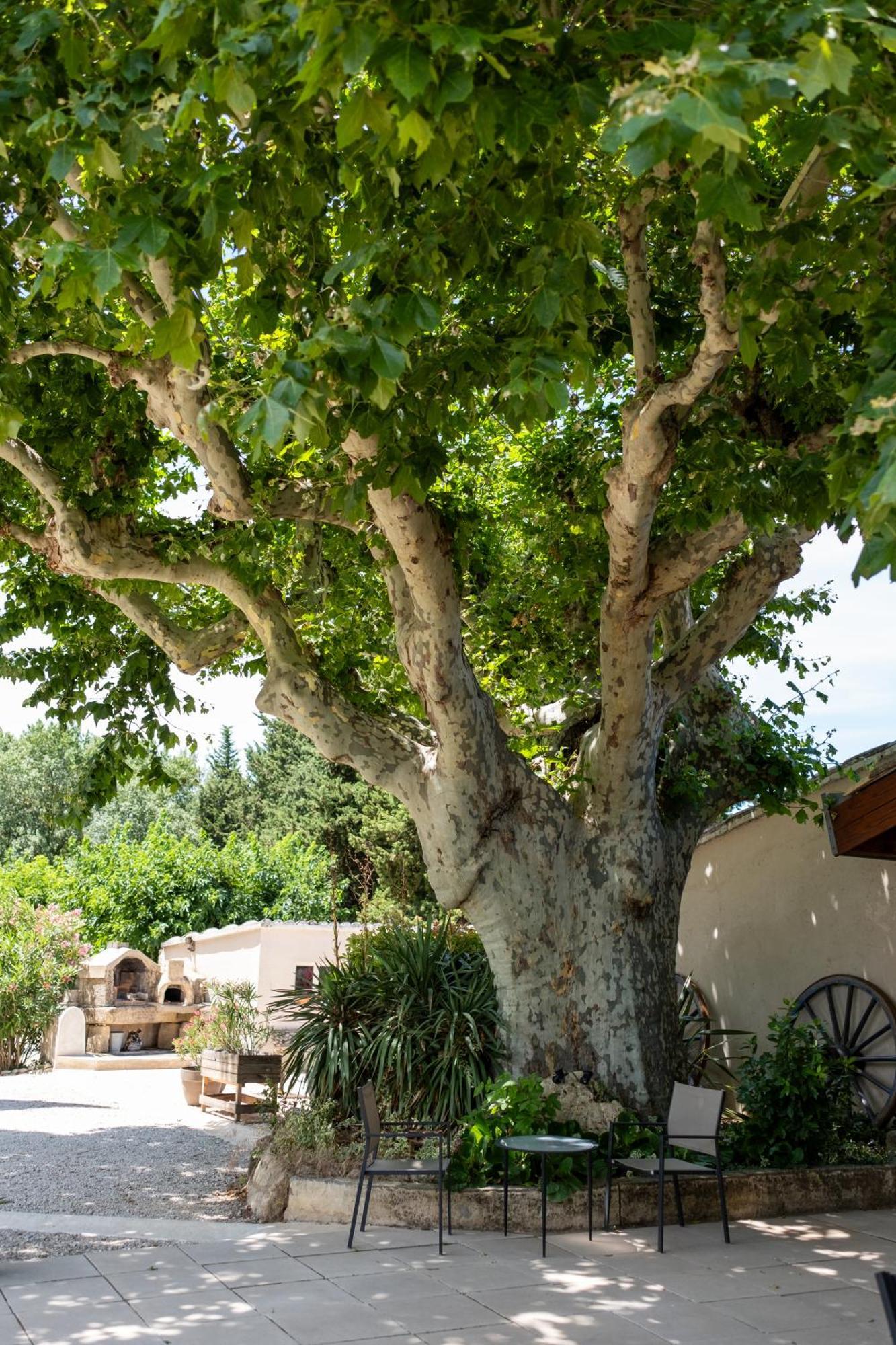 Le Vieux Platane Hotel Cairanne Exterior photo